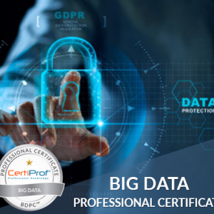 Big Data Professional